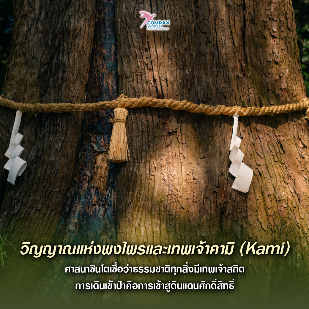 เที่ยวญี่ปุ่น ทัวร์ญี่ปุ่น ทัวร์ญี่ปุ่นพรีเมี่ยม โปรแกรมทัวร์ญี่ปุ่น